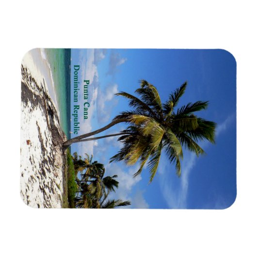 Punta Cana, Dominican Republic, coconut palm tree Magnet (Horizontal)
