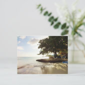 Punta Canta Beach Postkarte (Stehend Vorderseite)