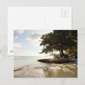 Punta Canta Beach Postkarte (Vorne/Hinten)