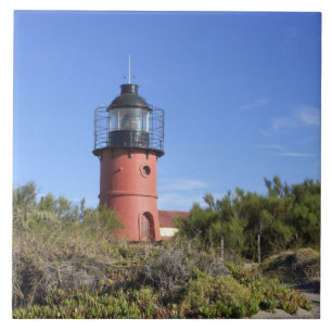 Punta Delgada, Valdes-Halbinsel, Chubut Fliese