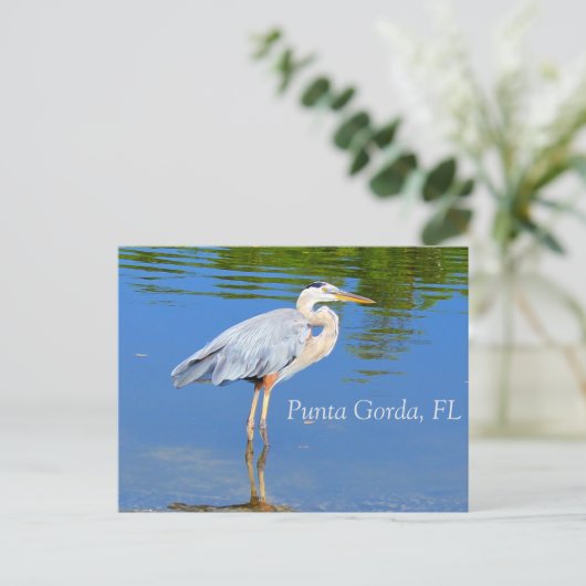 Punta Gorda, FL Postkarte (Stehend Vorderseite)