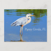 Punta Gorda, FL Postkarte (Vorderseite)