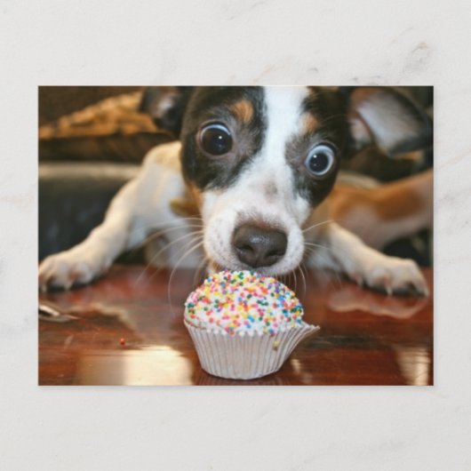 Pup Cake Postcard Postkarte (Vorderseite)