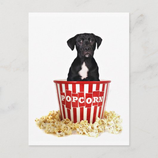 Pup-Corn jemand? Postkarte (Vorderseite)