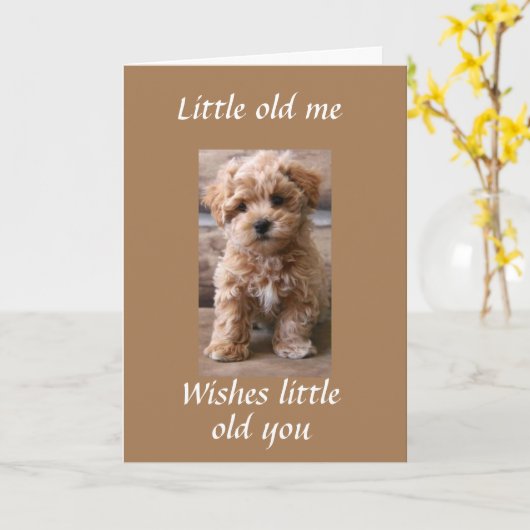 PUP-HILFE SAGEN **GLÜCKLICHER GEBURTSTAG** KARTE (Gelbe Blume)