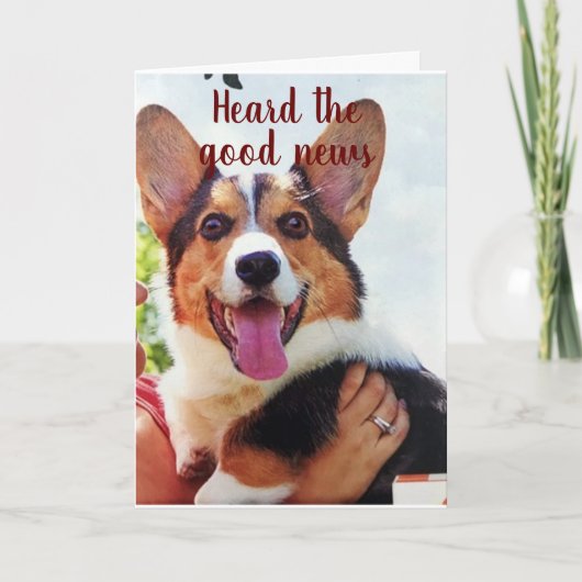 PUP IST FÜR IHREN **21. KARTE (Vorderseite)