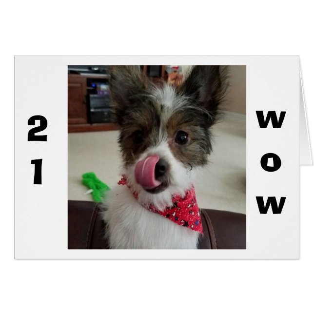 PUP IST SO GLÜCKLICH, DASS DU "21" MACHST. (Vorderseite (Horizontal))