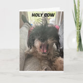 PUP KANN ES NICHT GLAUBEN! U R ‚40‘ KARTE (Vorderseite)