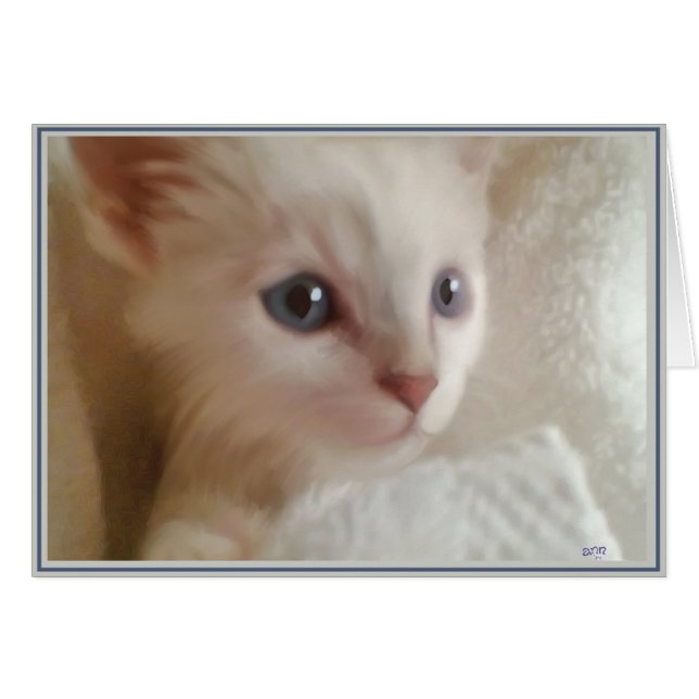 PUP-Kätzchen 11 (Vorderseite (Horizontal))