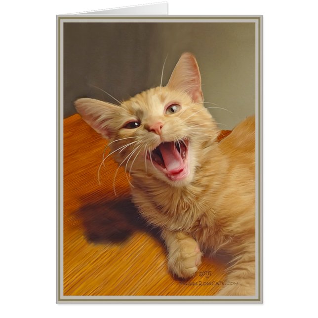 PUP-Kätzchen 3 (Vorne)