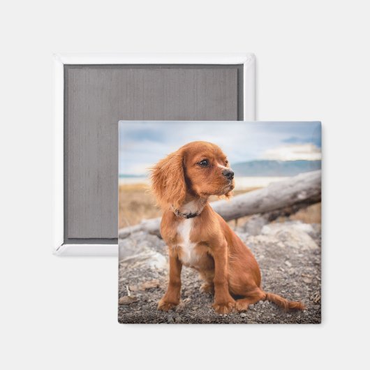 Pup On Vacacation Magnet (Vorderseite/Rückseite)