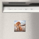 Pup On Vacacation Magnet (In Situ (Geschirrspüler))