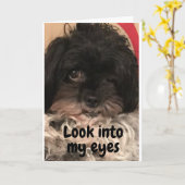 PUP SAGT IHNEN "GLÜCKLICH GEBURTSTAG"! KARTE (Gelbe Blume)