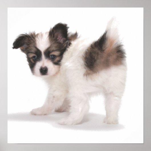 PUP SUCHT ÜBER SHOULDER POSTER (Vorne)