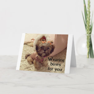 PUP TRÄGT IHRE BOWS AM GEBURTSTAG KARTE