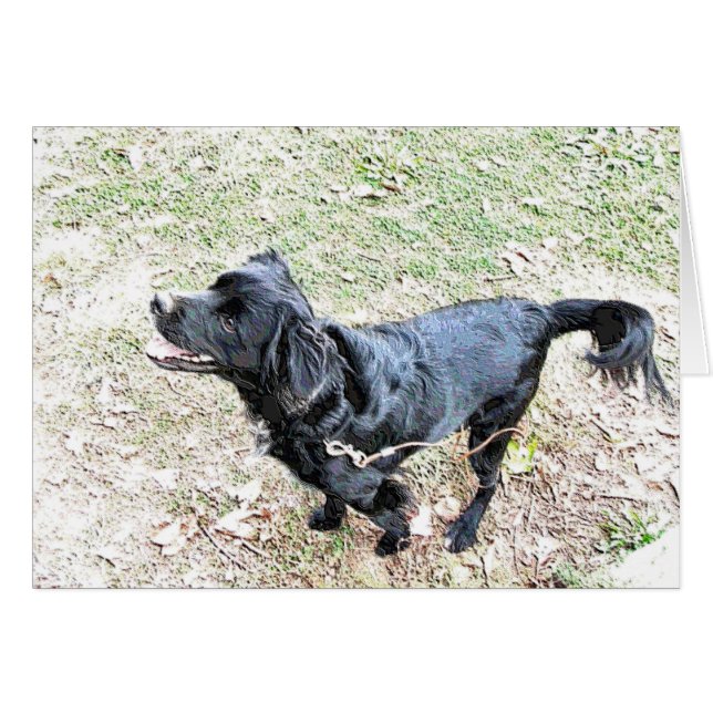 Pup Wartete, zu Fuß zu gehen (Vorderseite (Horizontal))