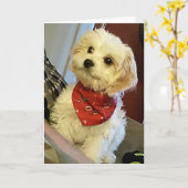 PUP WISHER "YOUR TWIN"/"BEST FREUND" BIRTHDAY WISH KARTE (Gelbe Blume)