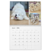 Pupatoes Calendar Kalender (Mär 2026)