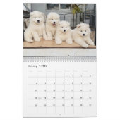 Pupatoes Calendar Kalender (Jan 2026)