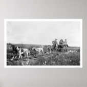 Pupmobile Train Nome, Alaska 1906 Poster (Vorne)