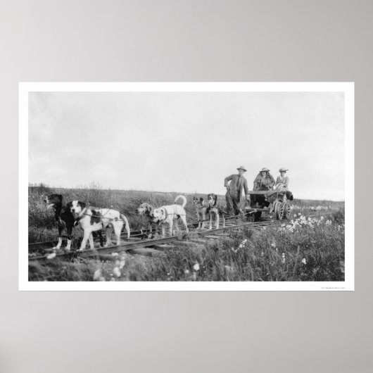 Pupmobile Train Nome, Alaska 1906 Poster (Vorne)