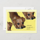 Pupnosis Haiku Art Postcard - Collectious Postcard Postkarte (Vorne/Hinten)