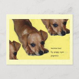 Pupnosis Haiku Art Postcard - Sammelpostkarte Postkarte
