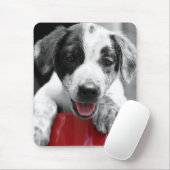 Pupp Mousepad (Mit Mouse)