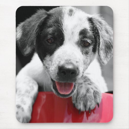 Pupp Mousepad (Vorne)