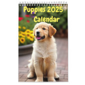 Puppen-Kalender 2025 Kalender (Titelbild)