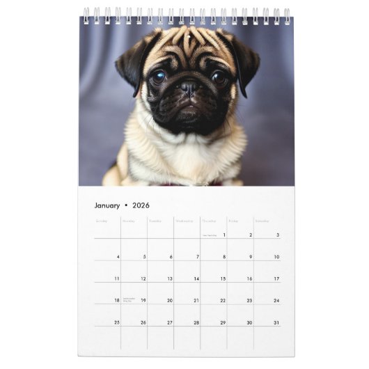 Puppen-Kalender 2025 Kalender (Jan 2026)