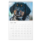 Puppen-Kalender 2025 Kalender (Mär 2026)