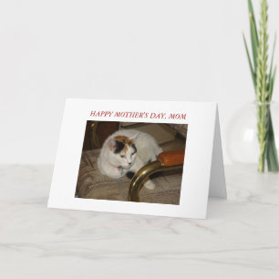 Puppen-Katze, der GLÜCKLICHE TAG der MUTTER, MAMA Karte