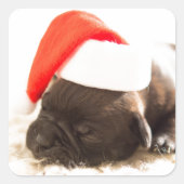 PUPPEN MIT WEIHNACHTSMANNMÜTZE STICKER (Vorderseite)