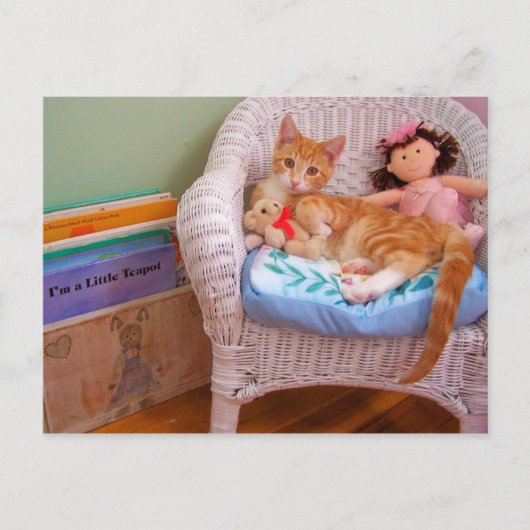 Puppenküche Cole Postkarte (Vorderseite)