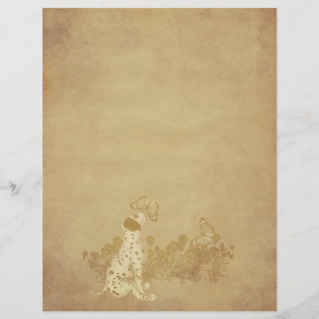 Puppenschmetterlinge für gealterte Dalmatiner (Vorderseite)