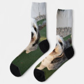 Pupper Socks Socken (Linkes Detail)