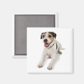 Puppie Magnet (Vorderseite/Rückseite)