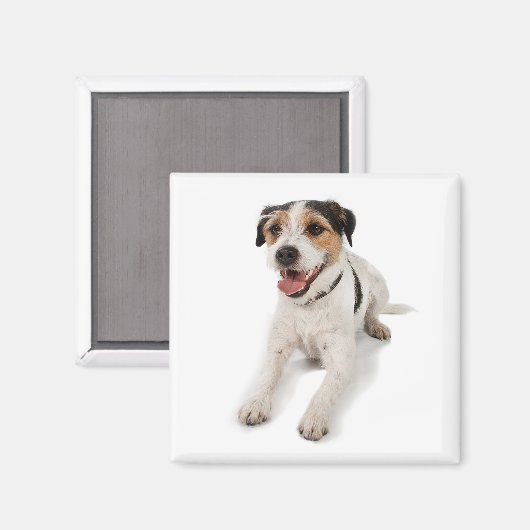 Puppie Magnet (Vorderseite/Rückseite)