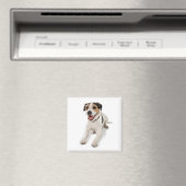Puppie Magnet (In Situ (Geschirrspüler))