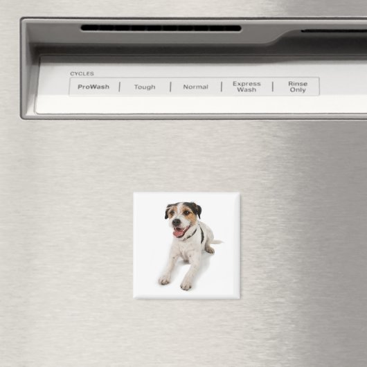 Puppie Magnet (In Situ (Geschirrspüler))