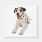 Puppie Magnet (Vorne)