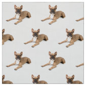 Puppie Stoff (Muster)