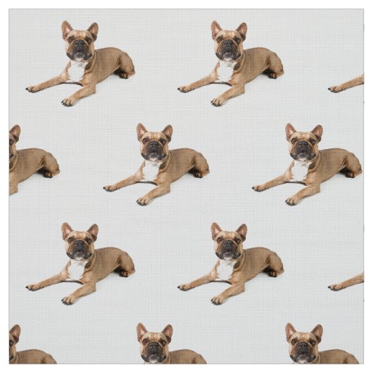 Puppie Stoff (Muster)