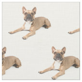 Puppie Stoff (Nahaufnahme)