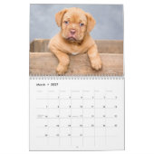 Puppies 2026 Calendar Kalender (Mär 2027)