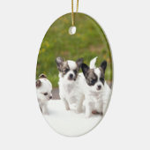 puppies-453532.jpg keramik ornament (Links)