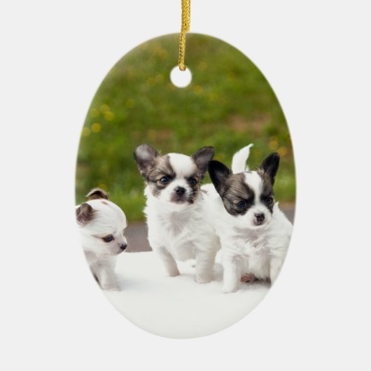 puppies-453532.jpg keramik ornament (Vorne)