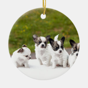 puppies-453532.jpg keramik ornament