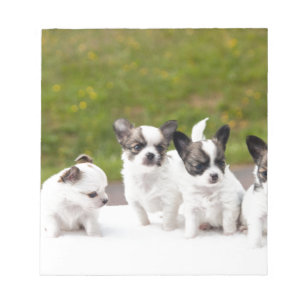 puppies-453532.jpg notizblock